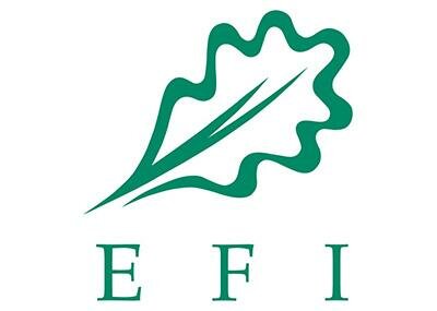 Prof. Phoebe Koundouri was appointed Member of the EFI Scientific Advisory Board